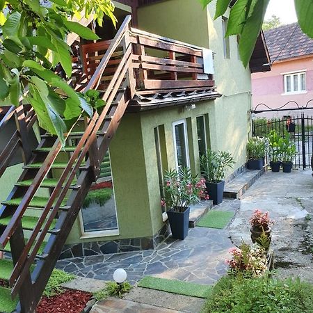 Casa Mea De Vacanta Baia Sprie Bagian luar foto