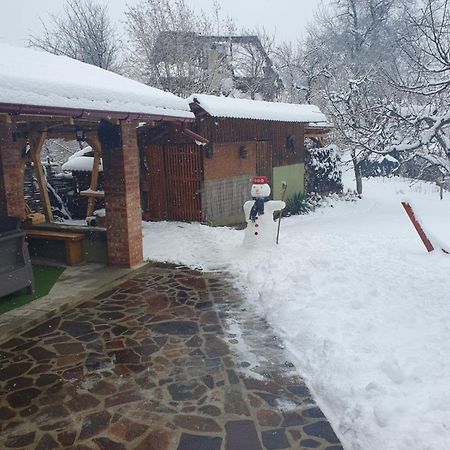 Casa Mea De Vacanta Baia Sprie Bagian luar foto