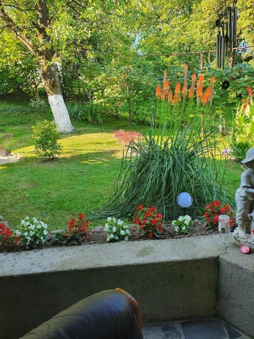 Casa Mea De Vacanta Baia Sprie Bagian luar foto