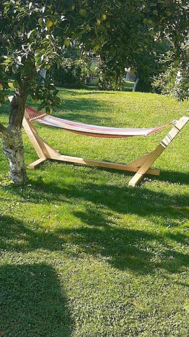 Casa Mea De Vacanta Baia Sprie Bagian luar foto