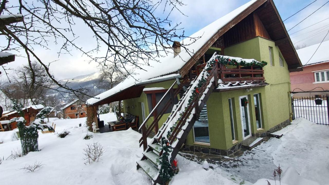 Casa Mea De Vacanta Baia Sprie Bagian luar foto