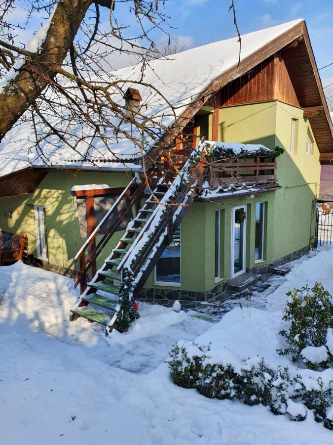 Casa Mea De Vacanta Baia Sprie Bagian luar foto