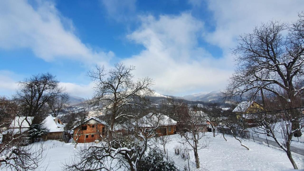 Casa Mea De Vacanta Baia Sprie Bagian luar foto