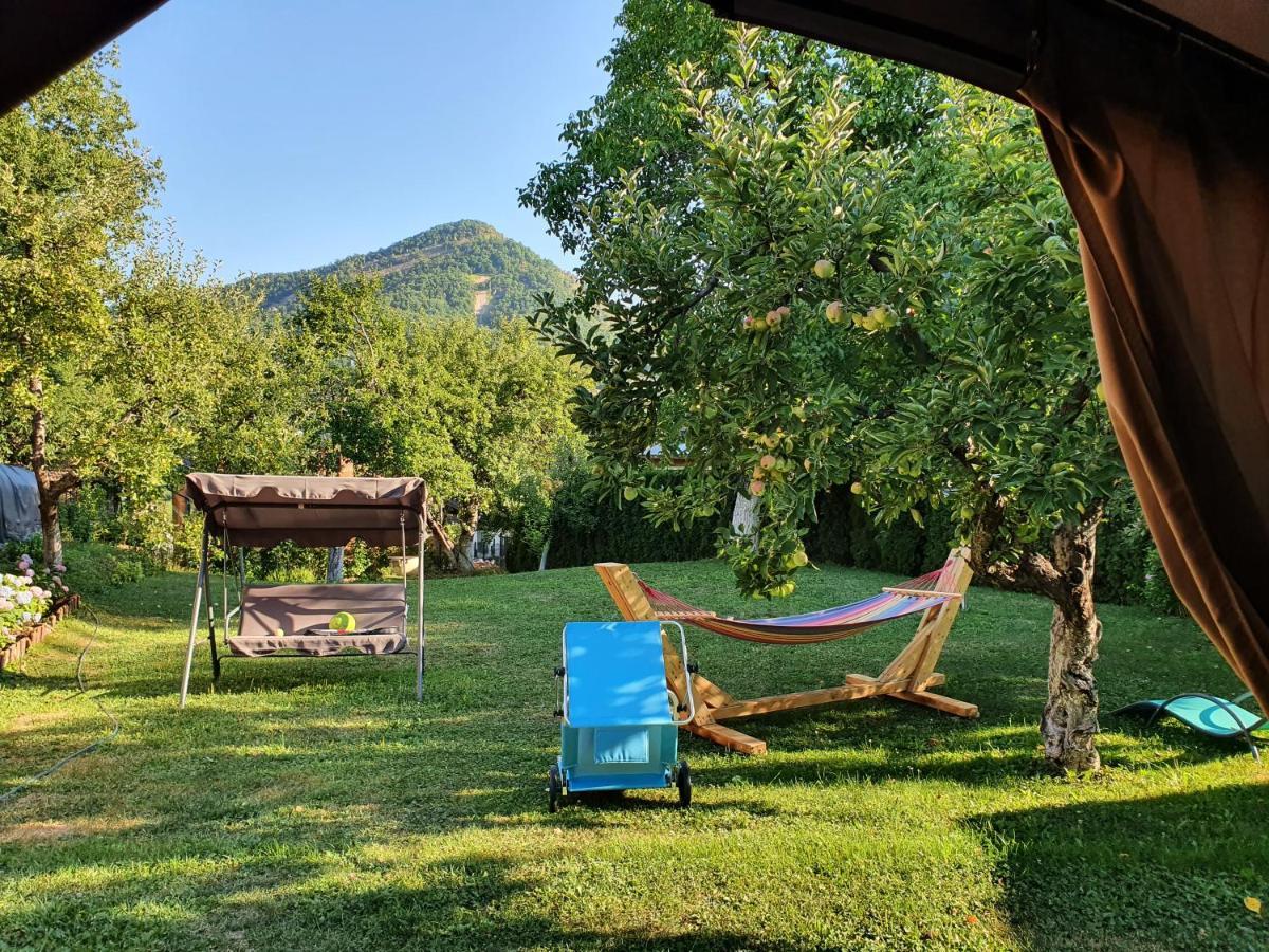 Casa Mea De Vacanta Baia Sprie Bagian luar foto