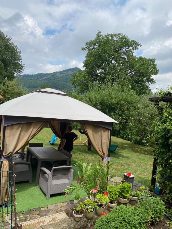 Casa Mea De Vacanta Baia Sprie Bagian luar foto