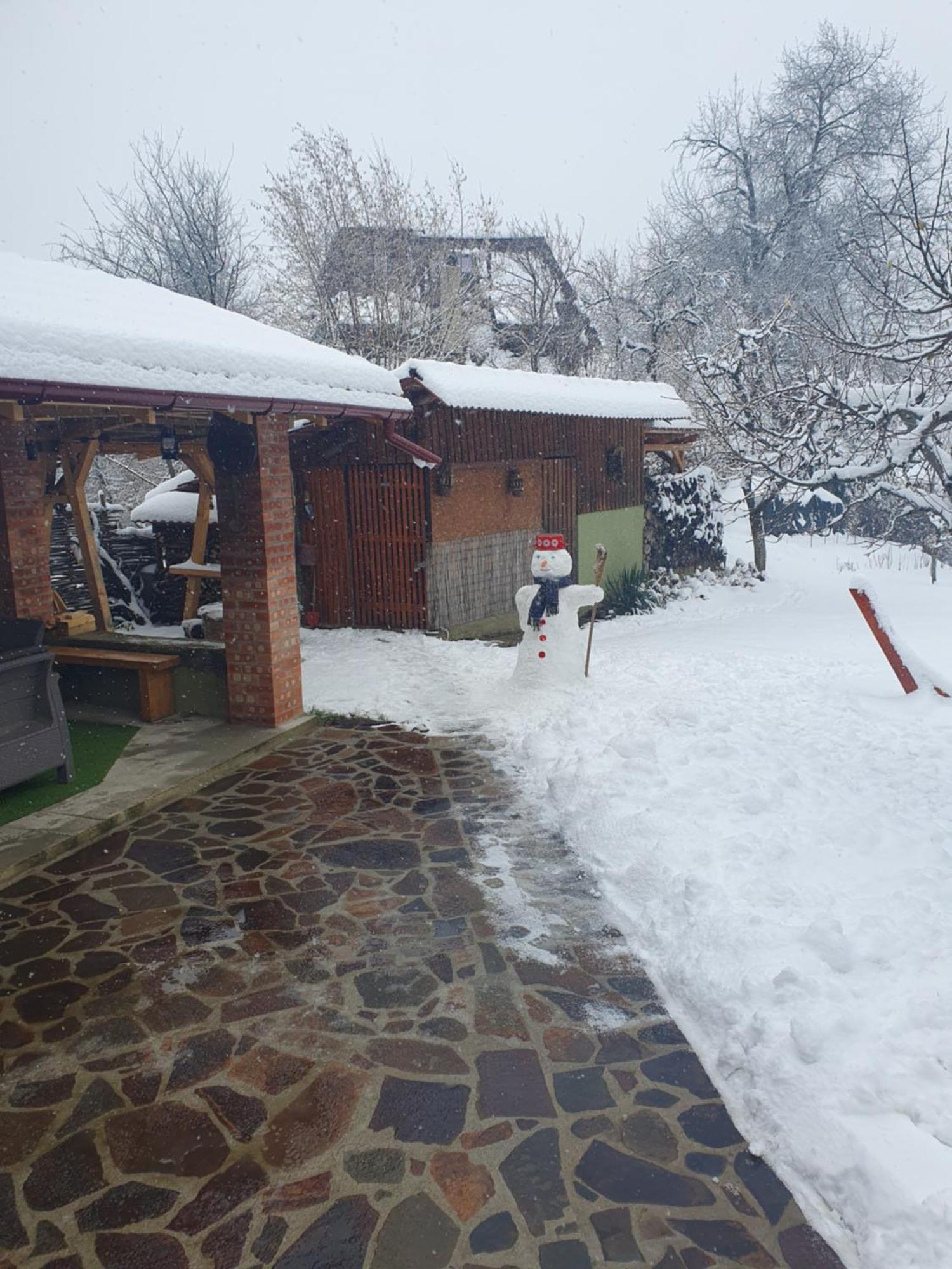 Casa Mea De Vacanta Baia Sprie Bagian luar foto